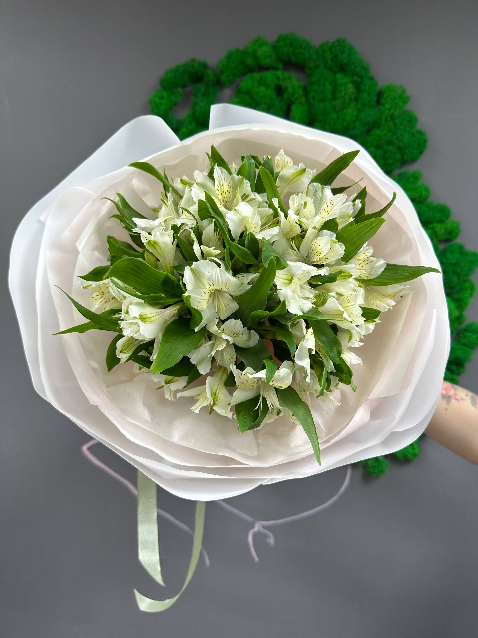 9 белой альстры