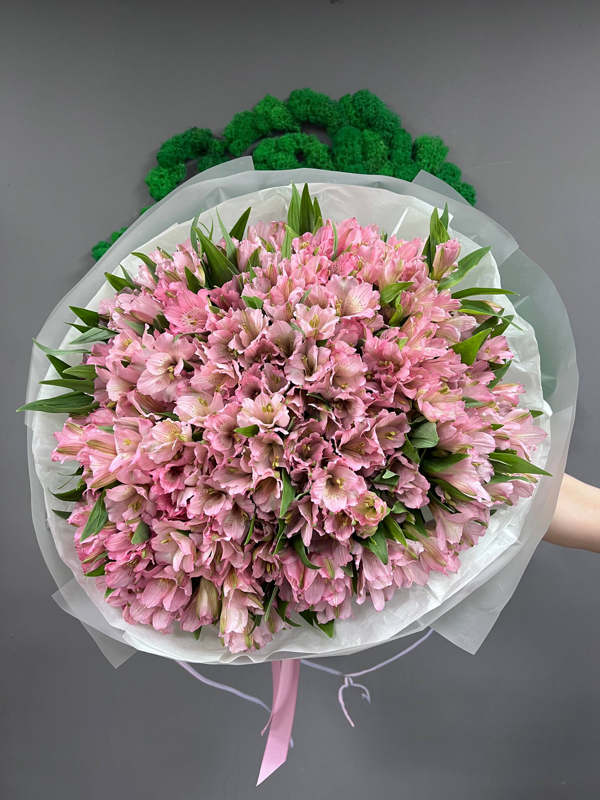 51 роз альстра