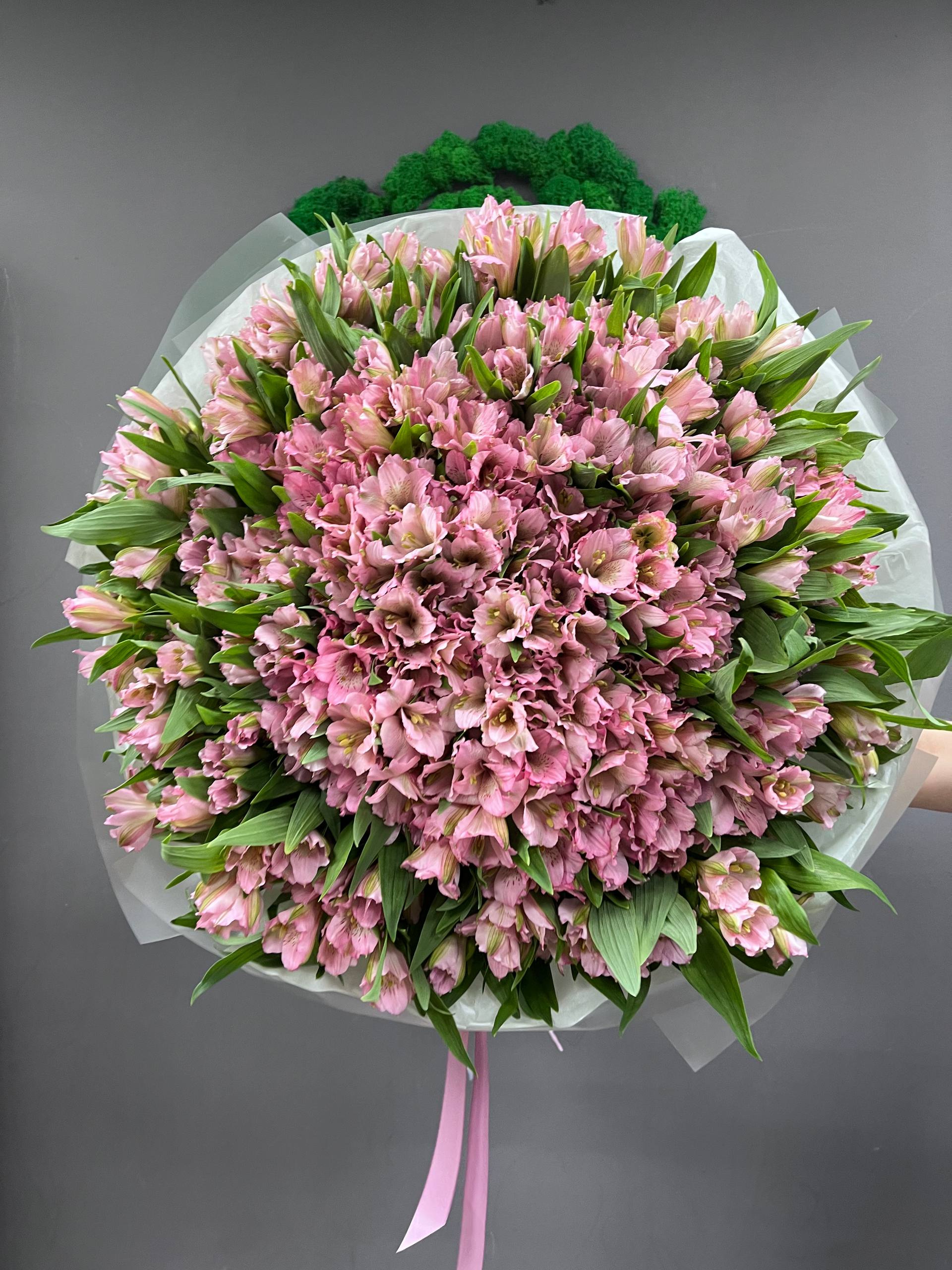 101 розовая альстра