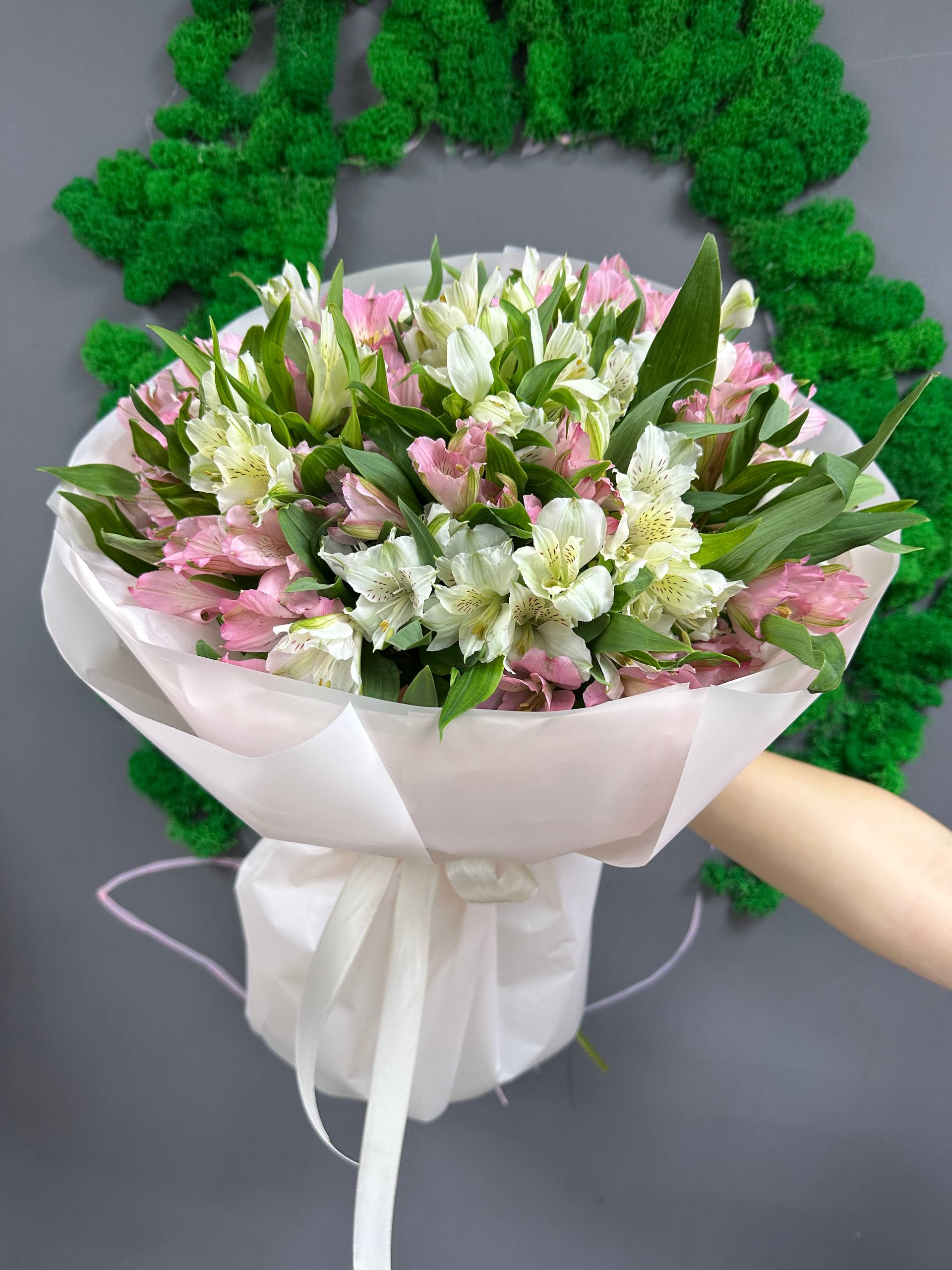 24 микс бел и роз альстра