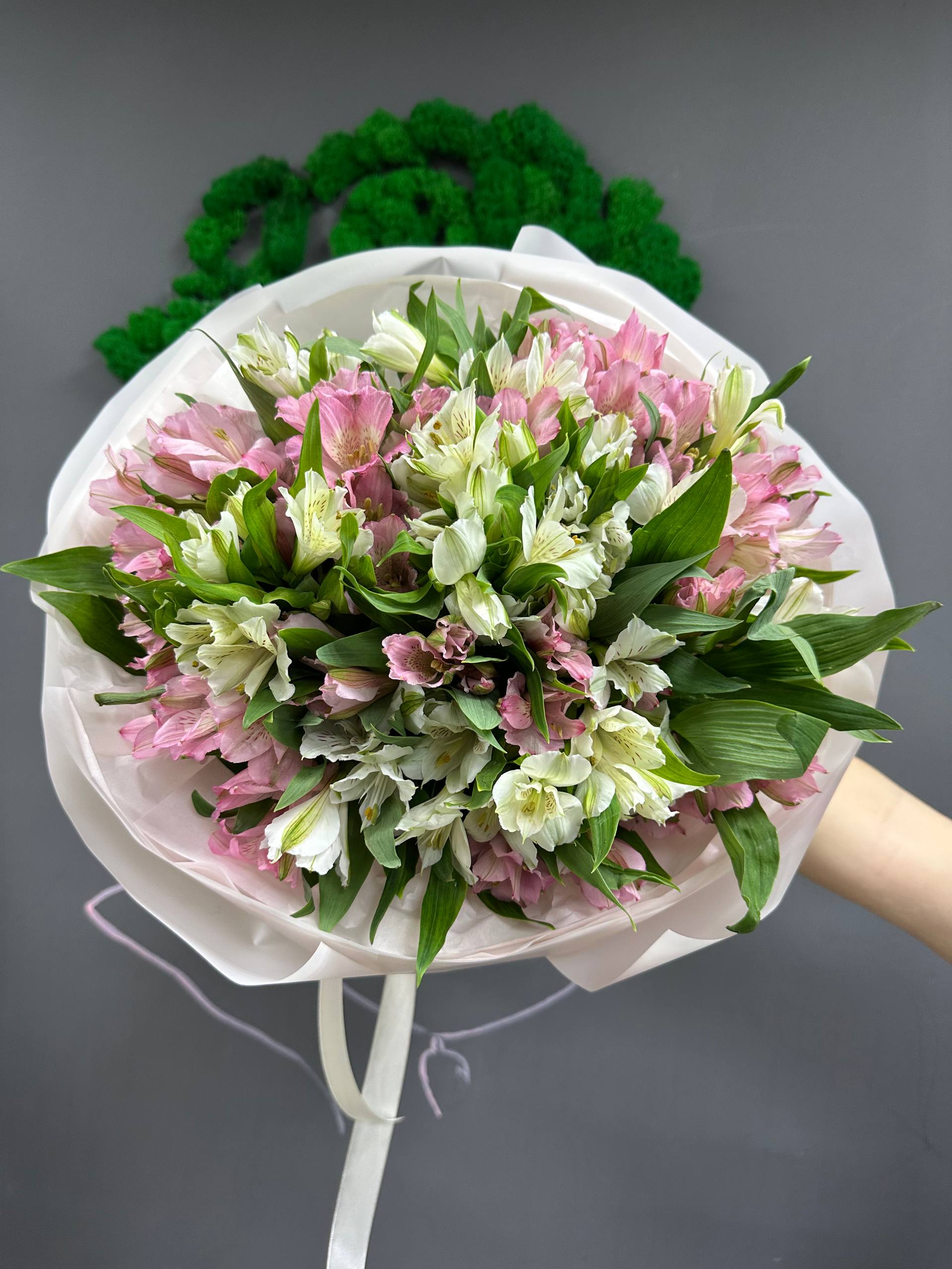 25 микс бел и роз альстра