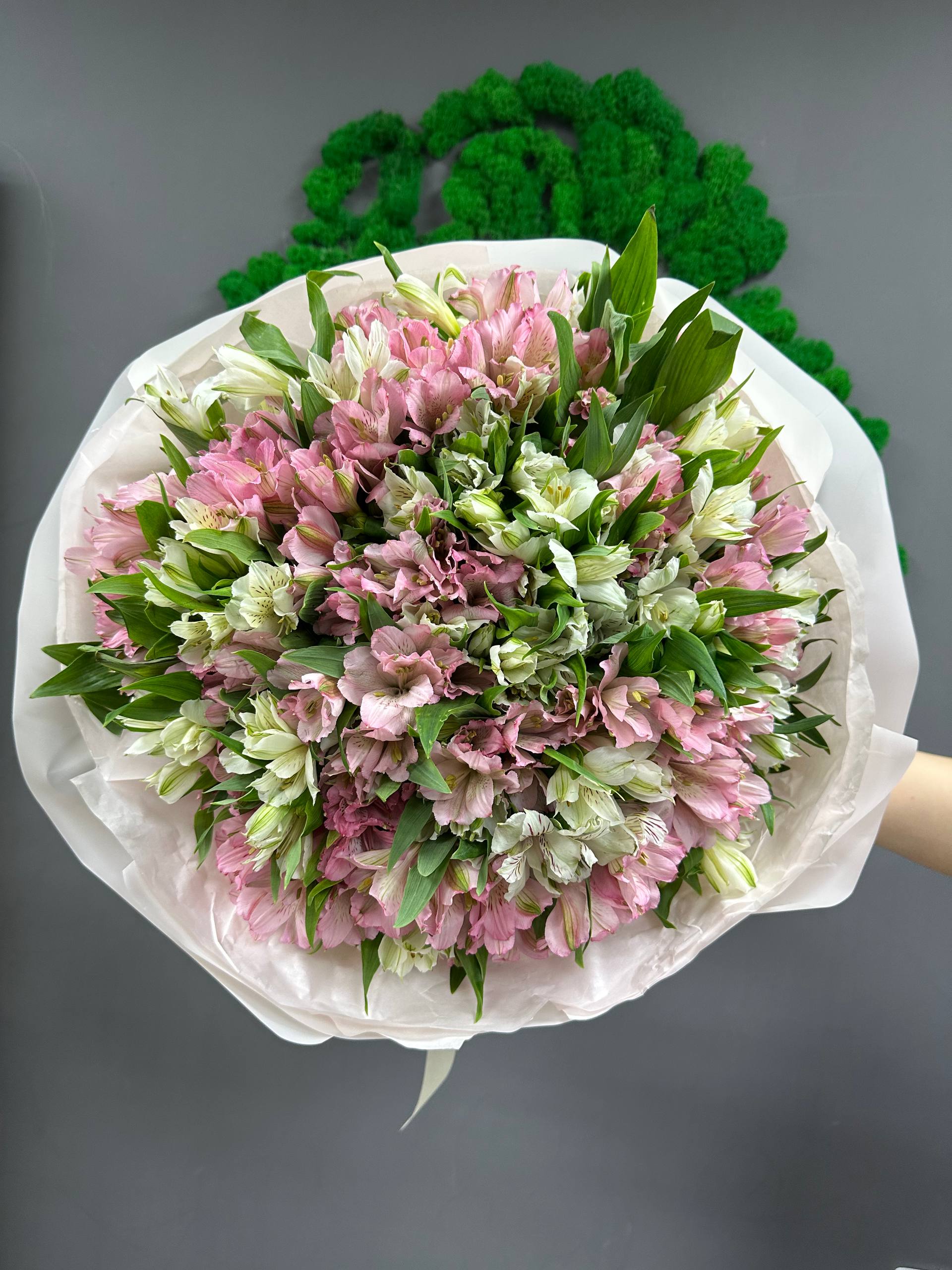 51 микс бел и роз альстры