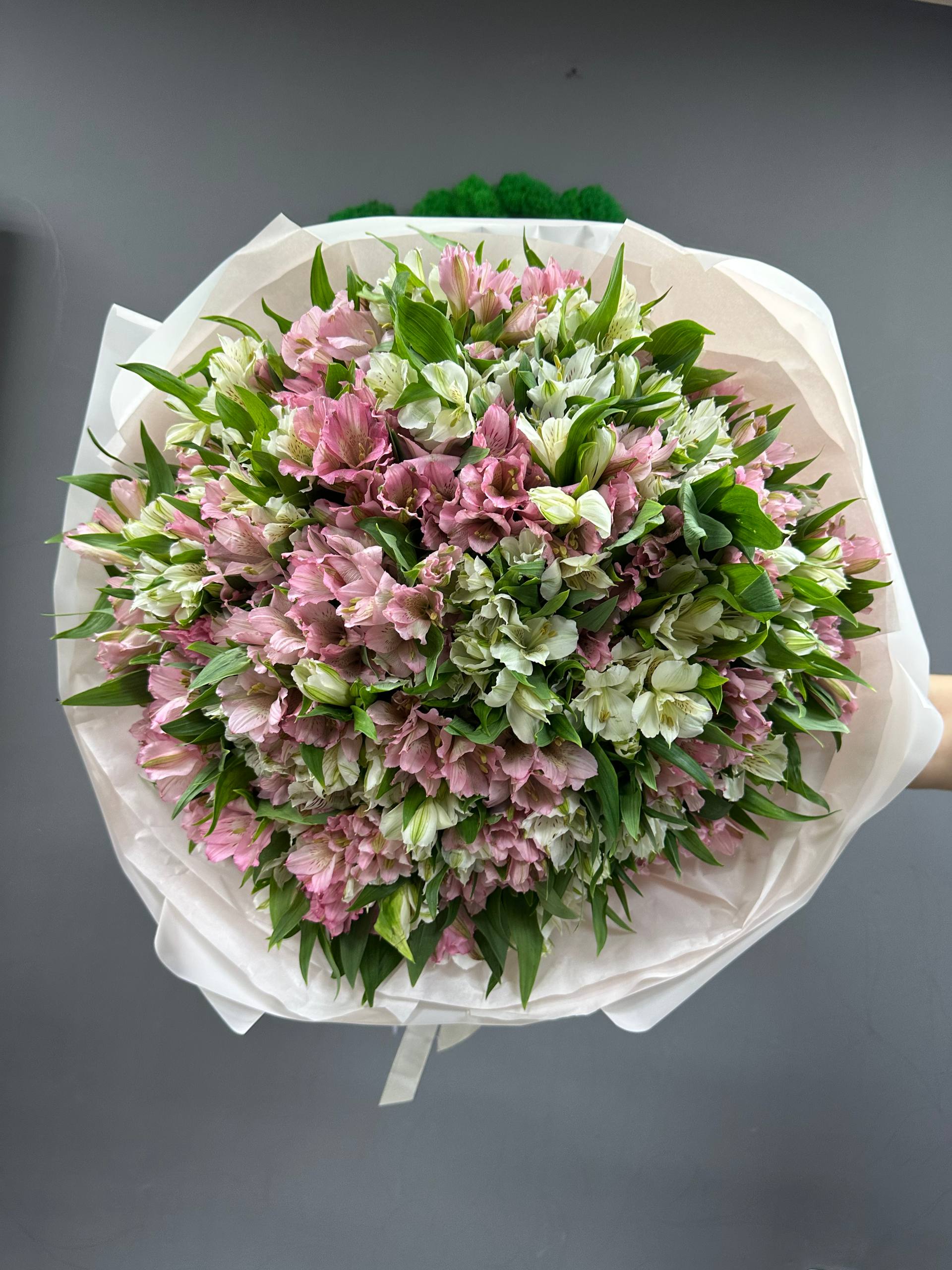 101 микс бел и роз альстры