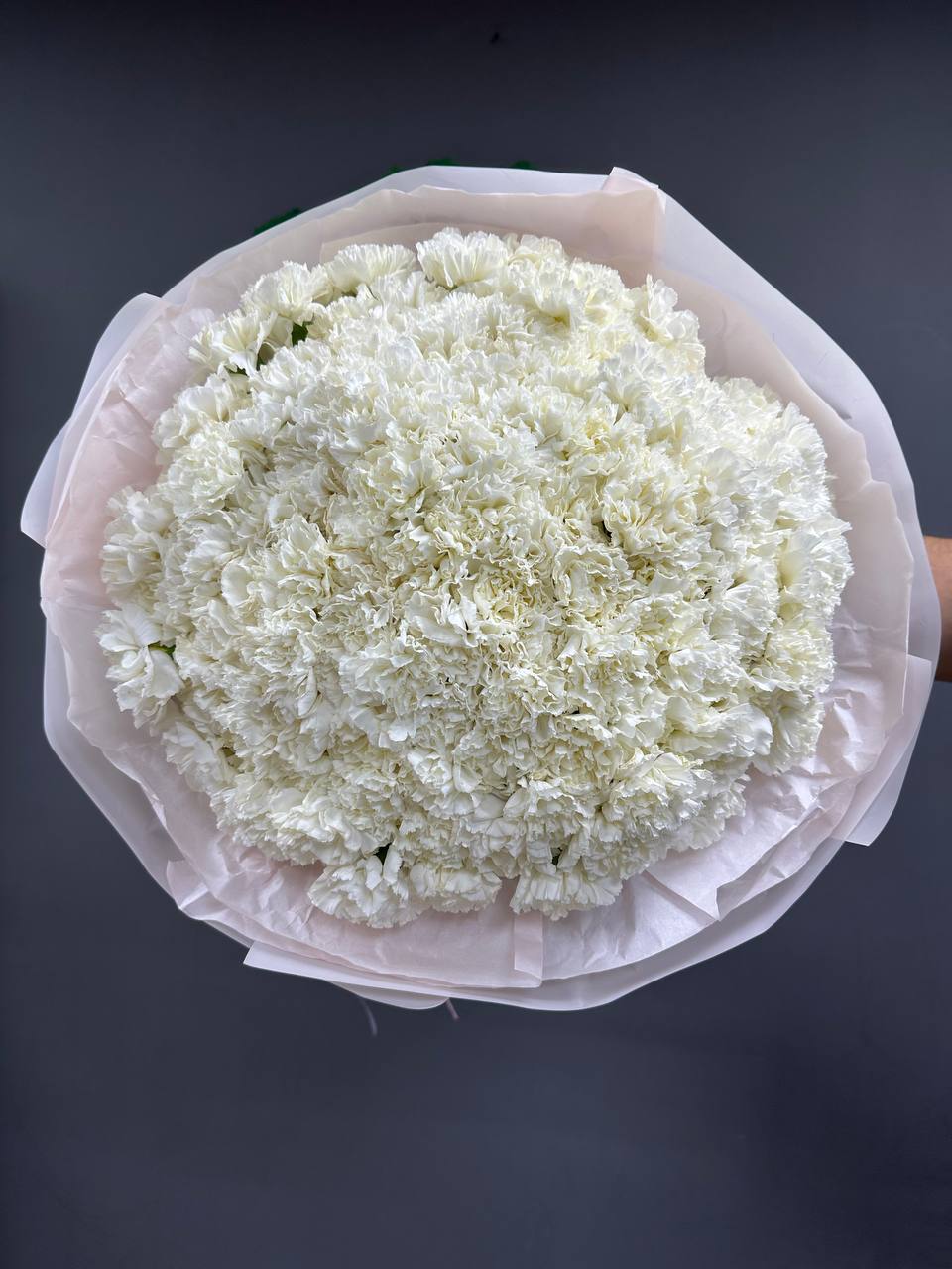 101 белый диантус