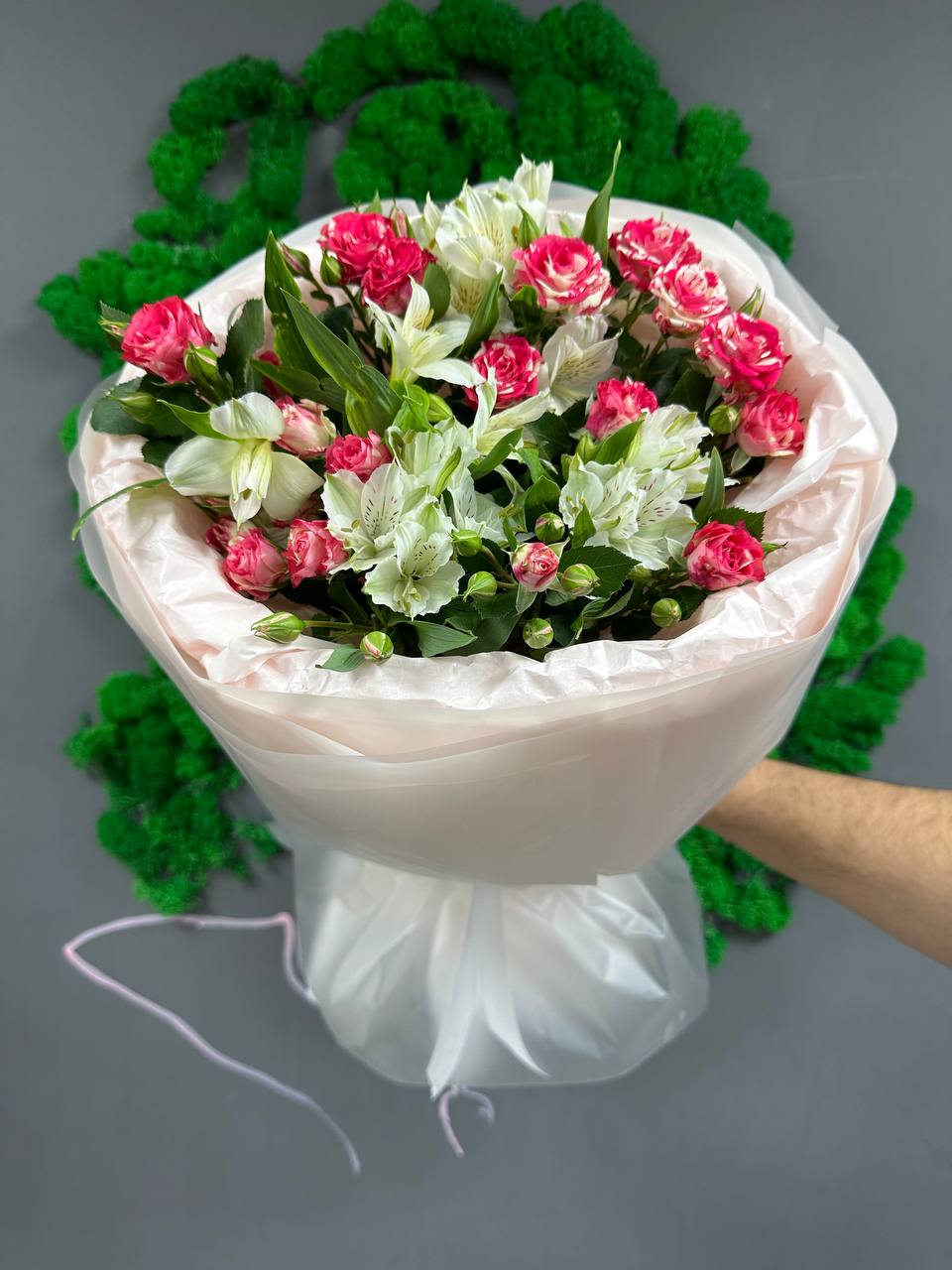 3 фаер 4 бел альстры